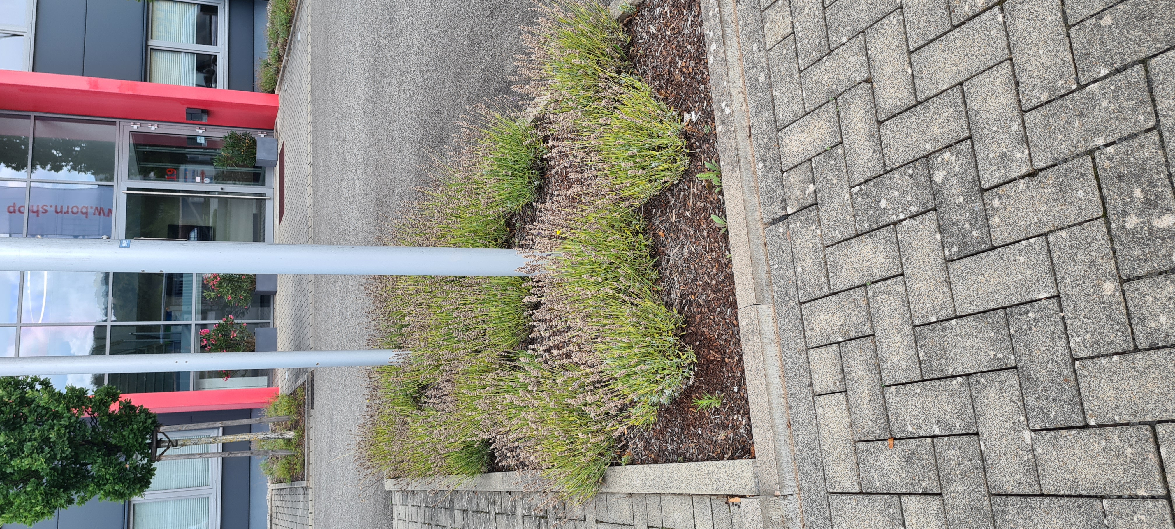 Vorher – Projekt 1